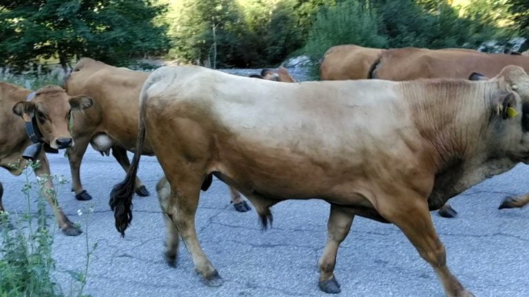 Adrien démontagne (7-9-2021)