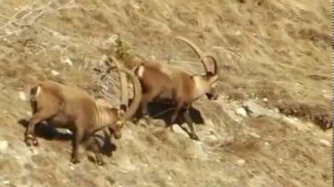 La Vallée des Villards Eté