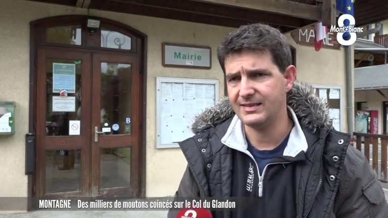 Des milliers de moutons coincés sur le col du Glandon (29-9-2020)
