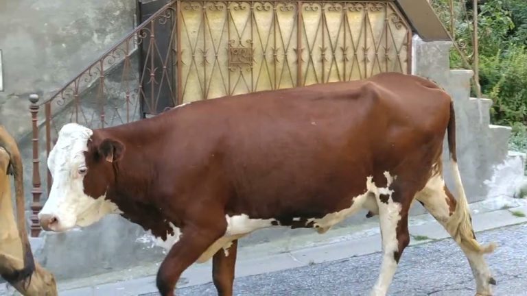 Adrien démontagne 5-9-2022