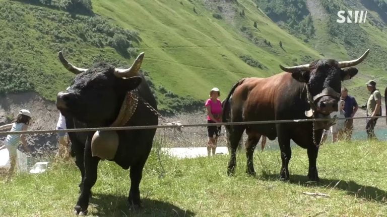 7ème fête du Col « l’Echo des Montagnes » (1-7-2018)
